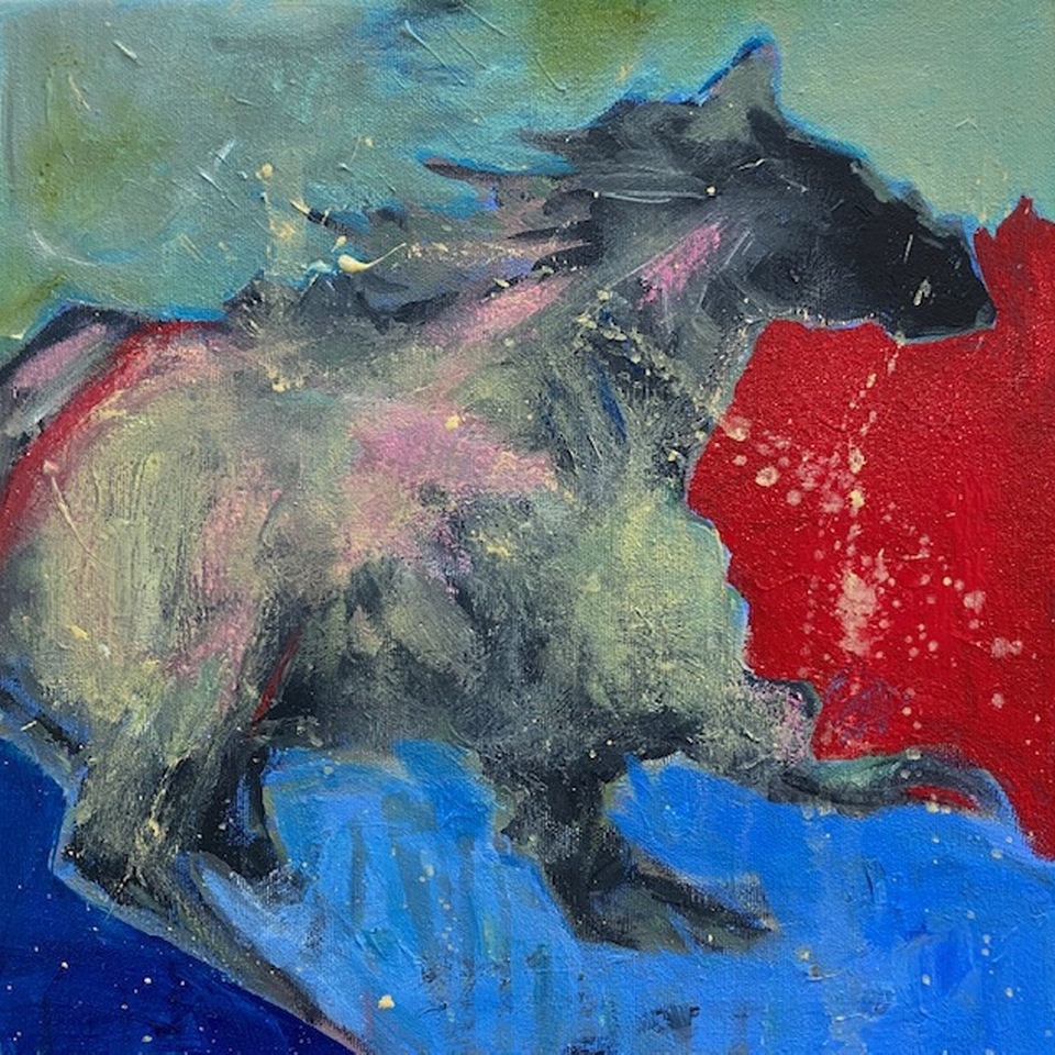 Animals